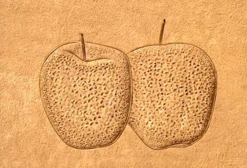 Two Apples - NFB
